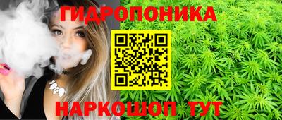прущая мука Кингисепп