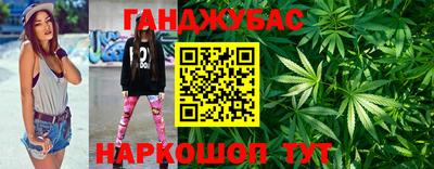 гидра Кимры