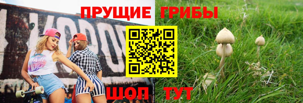 Алапаевск  Галлюциногенные грибы прущие грибы  Псилоцибиновые грибы Cubensis  Вход с VPN 